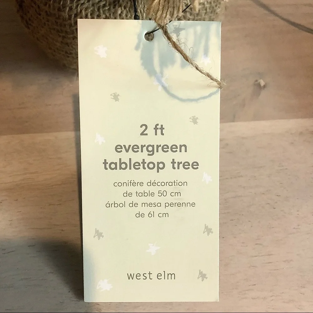west elm Light Up Evergreen Tabletop Tree 2ft